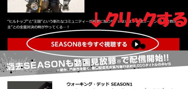 シーズン8の情報