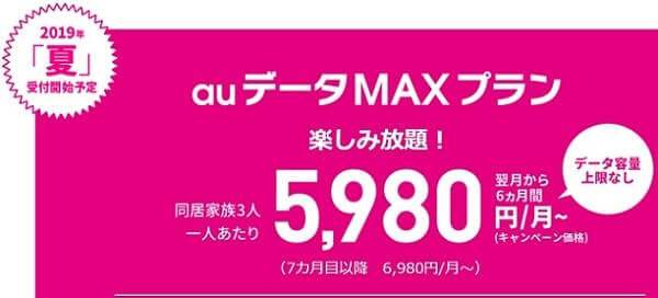 auデータMAXプランは月額8980円