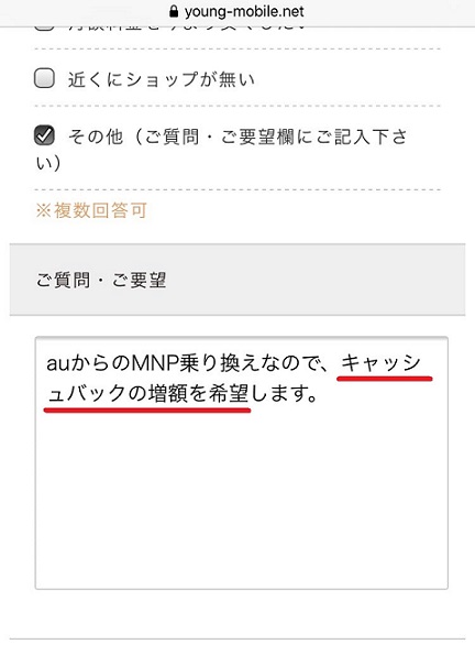 ヤングモバイルの申込み手順四
