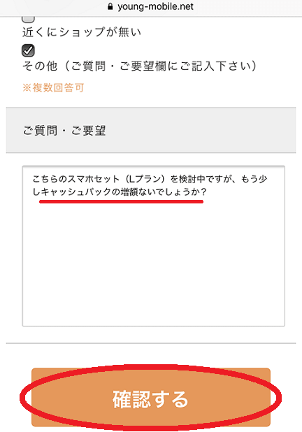ヤングモバイルの申込み手順四