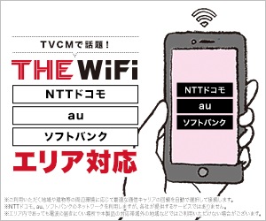 加藤浩次さんCMで有名なTHE WiFi
