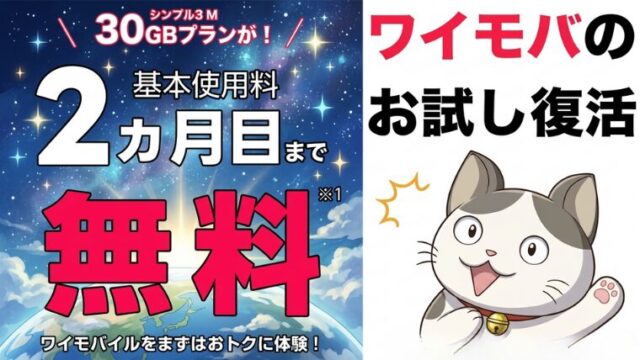 ワイモバイルのSIMキャンペーン